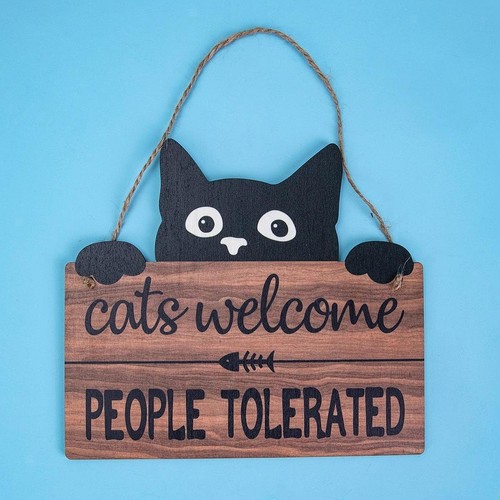Funny cat welcome - funny,