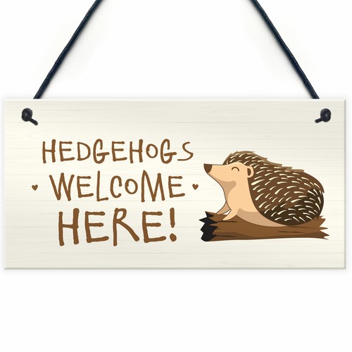Hedgehog welcome here sign - welcome,