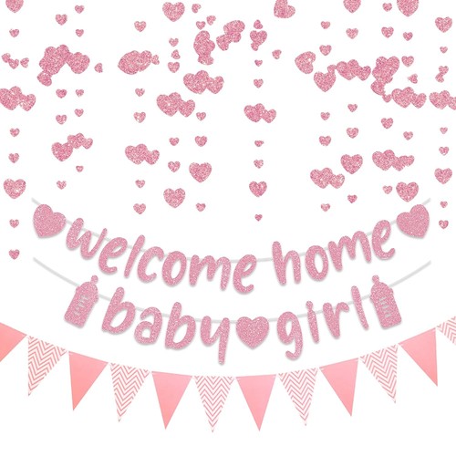 Welcome home baby girl banner - girl,